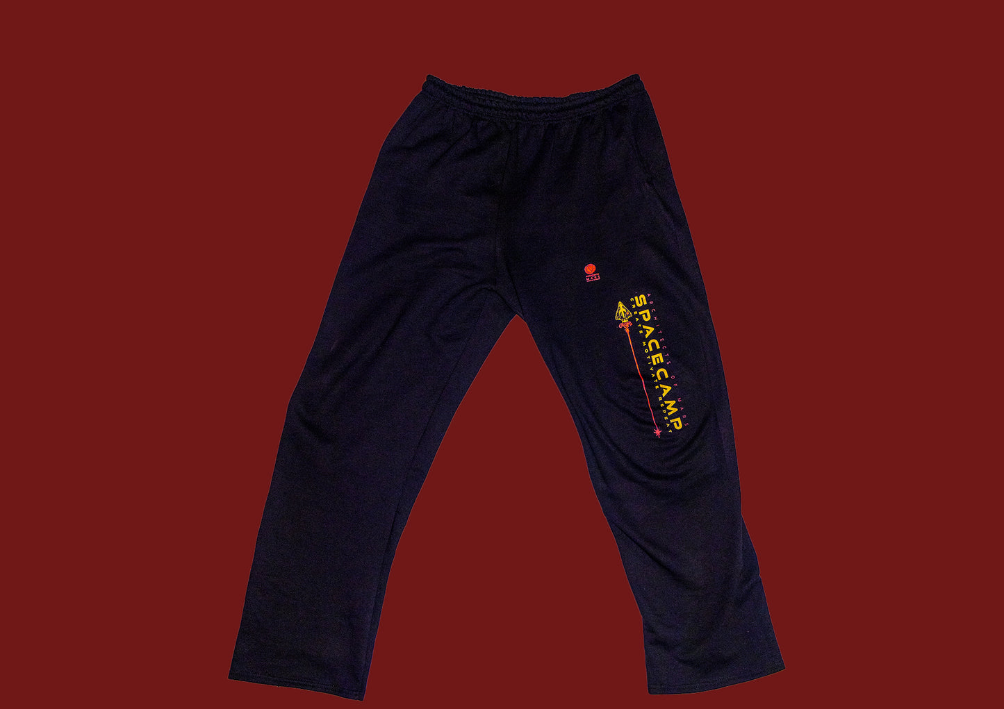 Space Camp Gold Pants