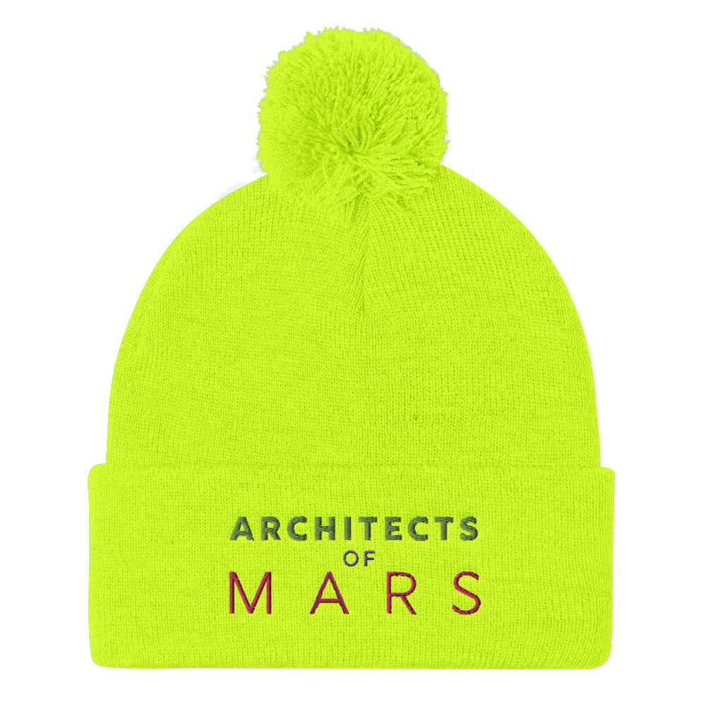 A.O.M  Pom Pom Knit Cap